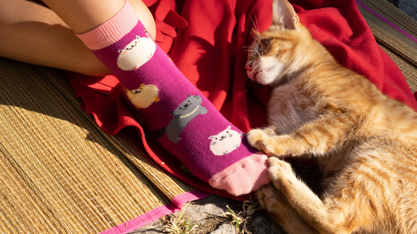 Kids Cute Cats Socks