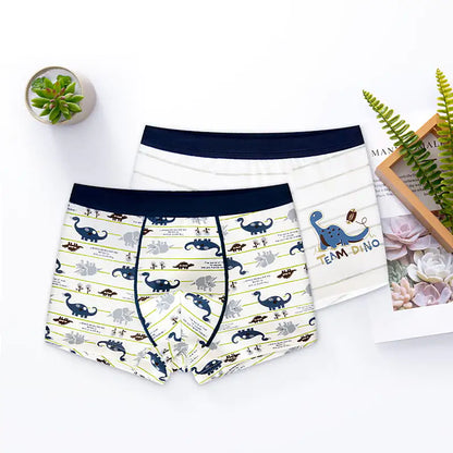 Boys' Cotton Boxer Underwear for Children