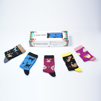 Kids Cute Cats Socks